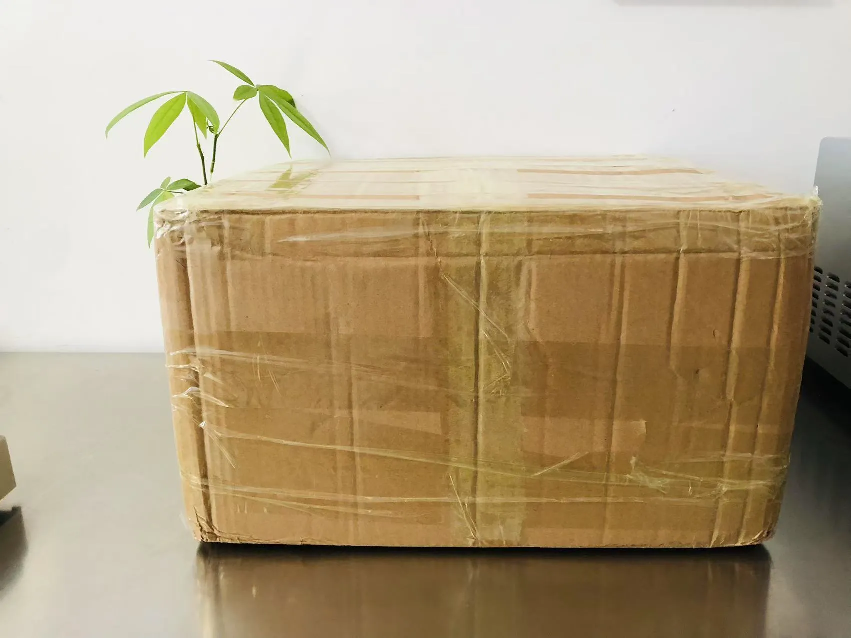 Stiker Epoksi Padat Kartun Saiki Tekan Jepang